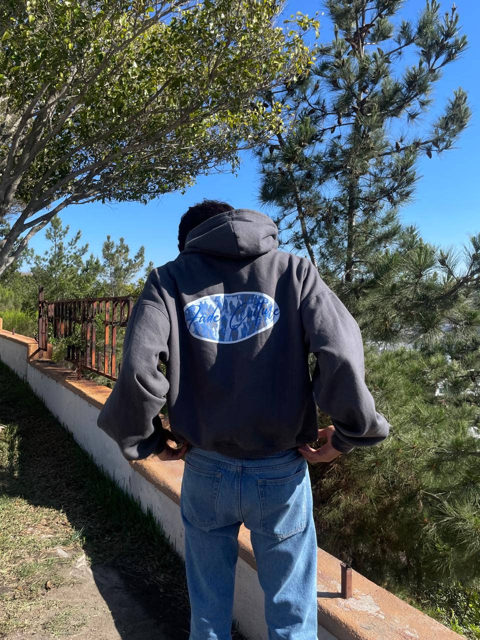 Hoodie gris